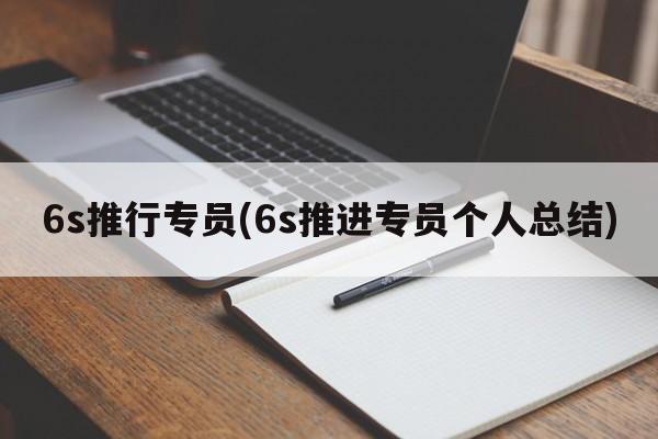 6s推行专员(6s推进专员个人总结)