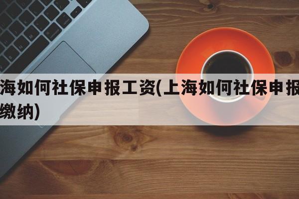 上海如何社保申报工资(上海如何社保申报工资缴纳)