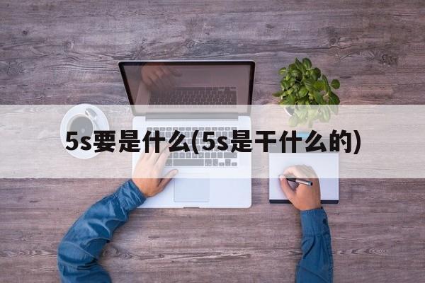 5s要是什么(5s是干什么的)